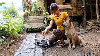 Beautiful college students challenge survival in the wild, and are free to accompany dogs without b