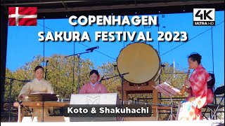 [4K] COPENHAGEN SAKURA FESTIVAL 2023 - JAPANESE KOTO &amp; SHAKUHACHI - CHERRY BLOSSOM DENMARK