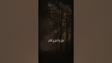 اكتب شيء تؤجر عليه #القارئ_عبدالرحمن_مسعد #قرآن {سورة يونس}