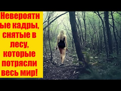 ТО, ЧТО ЗАПЕЧАТЛЕЛА Эта Камера В Лесу, Потрясло Весь Мир.. Только Посмотрите На Это!