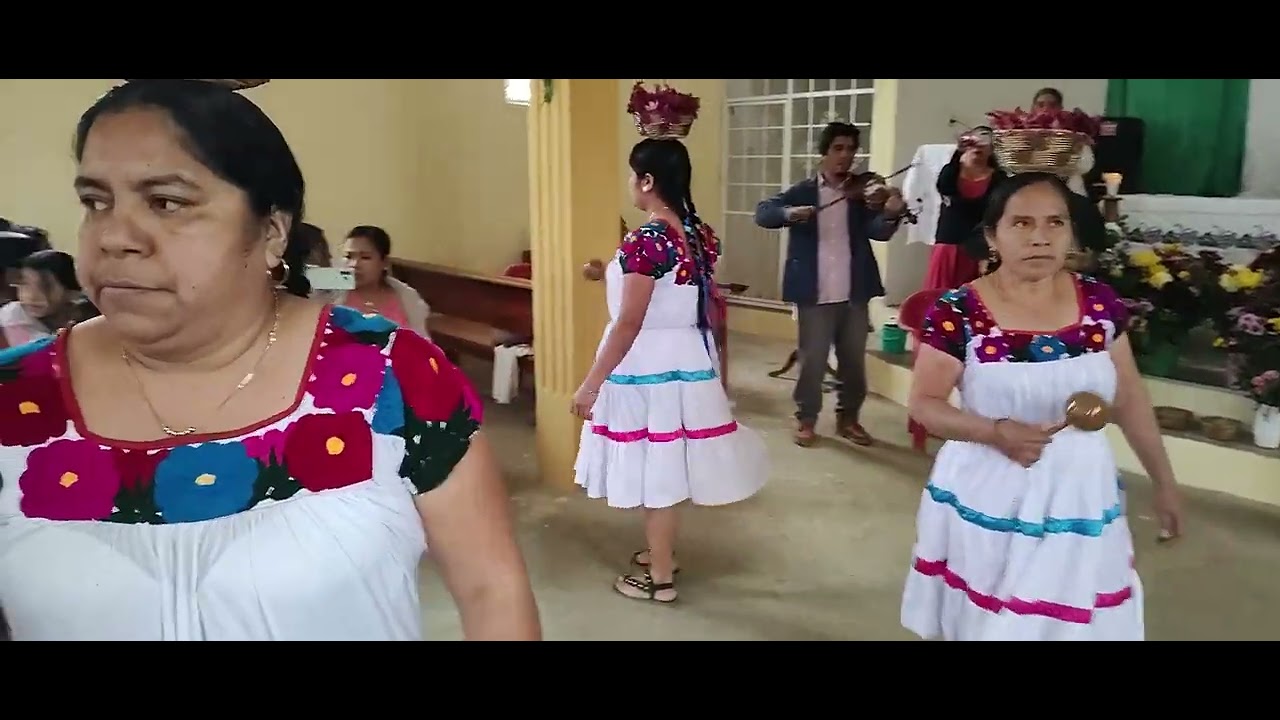 5 февраля 2026 года мы были в Моуико Чиконамель, Веракрус, 771346e437, только WhatsApp.