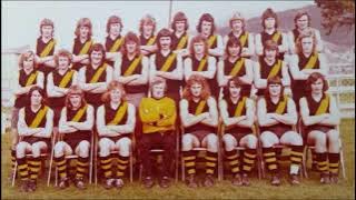 Hobart Tigers (Old Version)