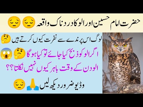 What islam says about Owl, Ullu Ka Waqia