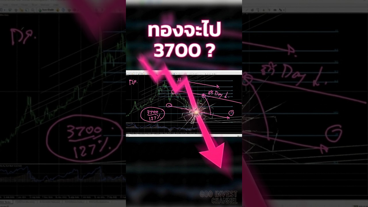 ถอดสมองแล้วมอง ทองคำ 3700 ได้ไหม #shorts #ราคาทอง #gooinvest