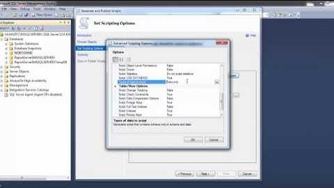 Sql Management Studio