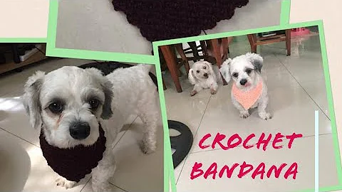 Adorable Crochet Accessories for Pets