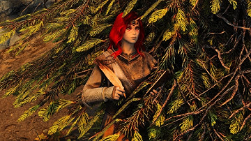 Dense Forest in Skyrim (Skyrim Flora Overhaul + Re-Engaged ENB + Lux)