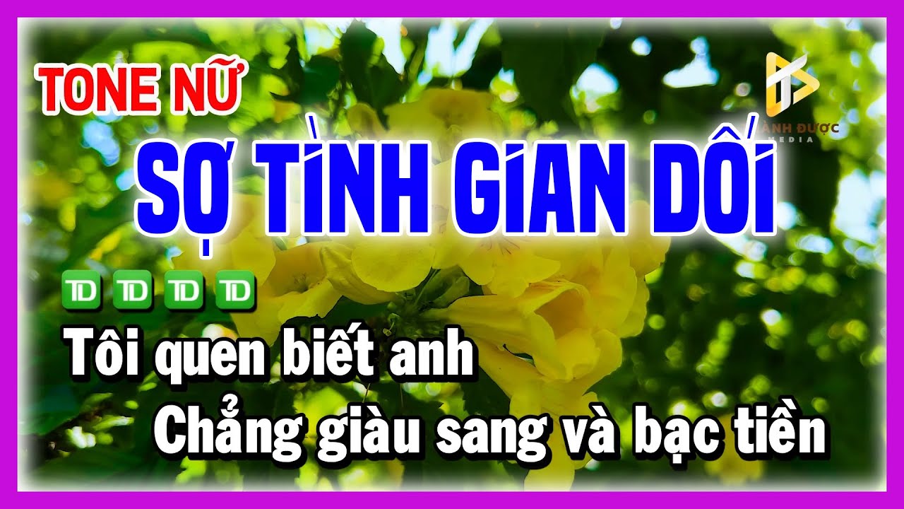 Karaoke SỢ TÌNH GIAN DỐI - Tôi Quen Biết Anh Chẳng Giàu Sang Và Bạc Tiền - Nhạc Chế TONE NỮ