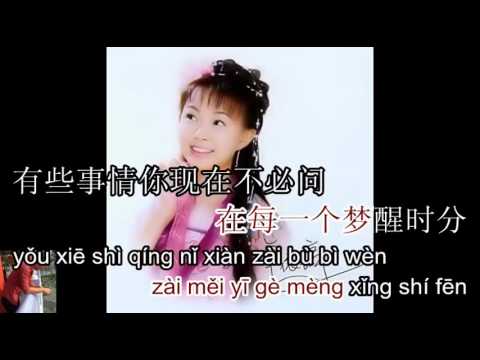 Thời Khắc Tỉnh Mộng - 梦醒时分 - timi zhuo - karaoke