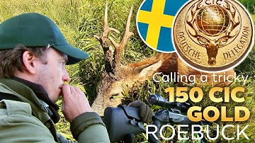 The Hunt for a Lifetime 150 CIC Gold Roebuck