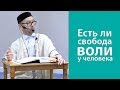 Есть ли свобода воли у человека