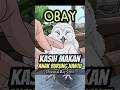 MAKAN LAHAP ANAK BURUNG HANTU #owl #burunghantu #burunglucu #hobiburung #burungjinak #anakburung