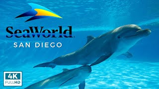 SeaWorld San Diego Guide: Exhibits, Shows, Rides & Animals