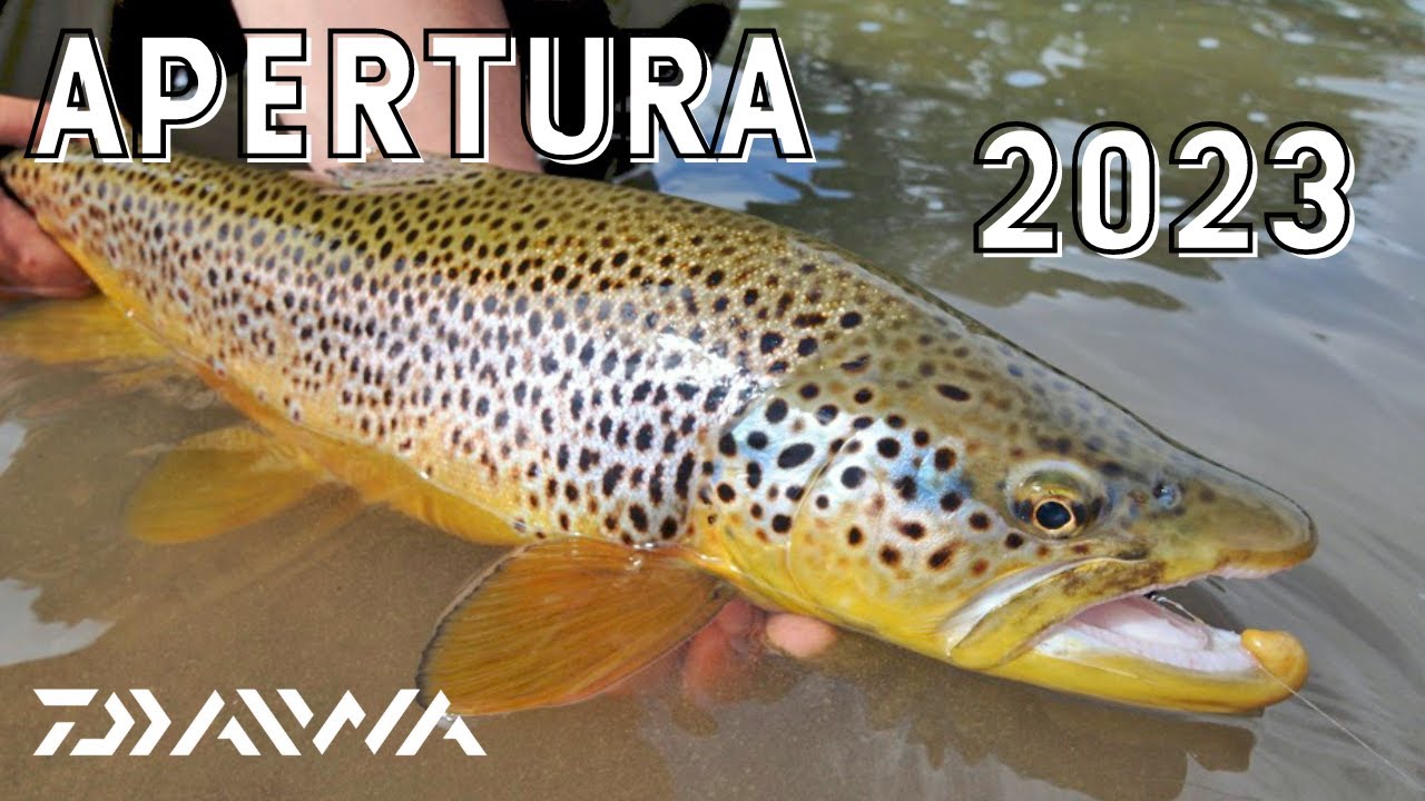 APERTURA TROTA 2023 || Le Grosse FARIO del MARGORABBIA (VA) 🤯🇮🇹