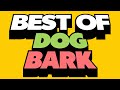 Best of dog bark