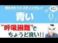 【歌い方】青い/ ポルカドットスティングレイの歌い方『手書き解説』_木こりの独自目線で新曲を語る