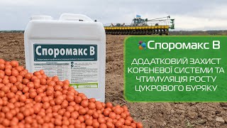 Споромакс В - Додатковий захист кореневої системи та стимуляція росту цукрового буряку