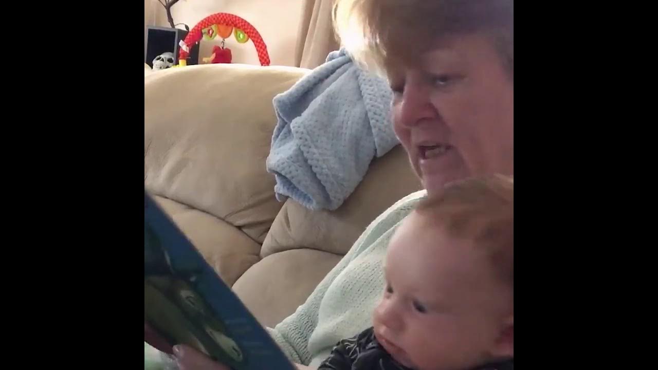 Grandma reads the story of the wonky donkey YouTube