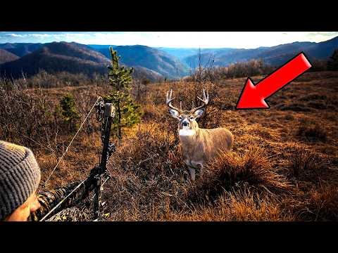 Stalking a Bedded BUCK in Appalachian Mountains
