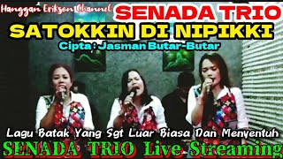 SENADA TRIO -Cover Lagu Hits SATOKKIN DI NIPIKKI Cipt: Jasman Butar-Butar@hangganeriksonchannel8093