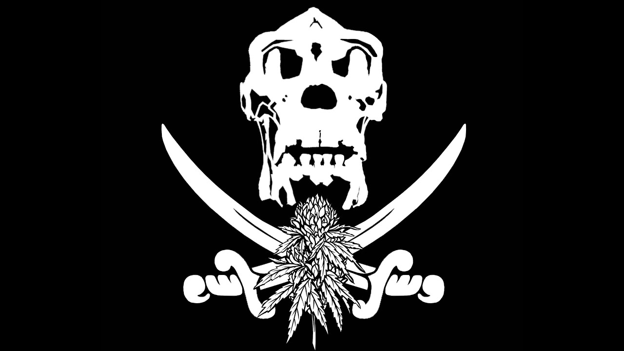 CCTM / Class #5 / 2:2:23 / Cohorts 3 / Labor Laws