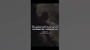 قَالَ رَبِِّ انصُرْنِي بِمَا كَذَّبُونِسورة المؤمنون ياسر الدوسري #قرآن #تلاوة_خاشعة #quran