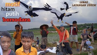 tes terbang 2 layangan burung elang motif hitam putih kehiduppan