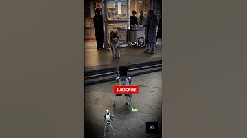 Robot Dog Meets Real Dog in Mind Blowing Street Performance!
