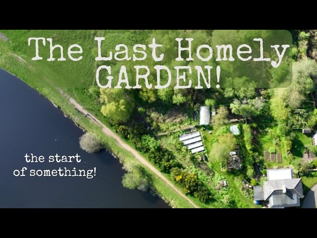 Welcome to The Last Homely GARDEN! #1 class=