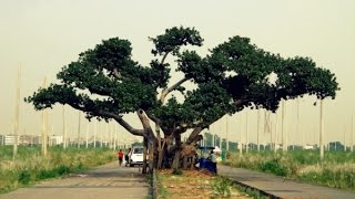 Most Beautiful Place in Bangladesh | Top attractive natural tourist place in Dhaka