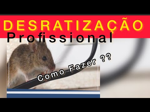Vídeo: Desratização de ratos. Métodos para controle eficaz de ratos