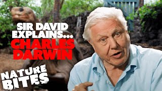 David Attenborough Explains: Charles Darwin | Nature Bites