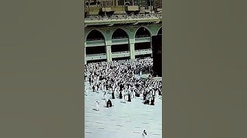 القارئ احمد عيسى المعصراوي#