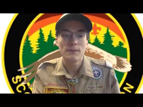 Webelos/AOL Rank: Looking Back, Looking Forward Adventure