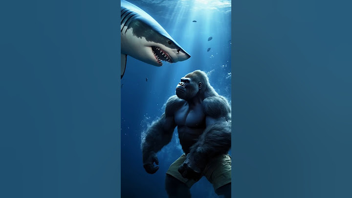 Gorilla Vs Shark #animalfight