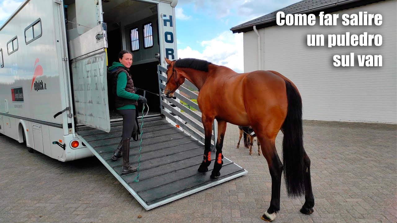 Come far salire un puledro sul camion - Ep.20 La doma di un puledro - Laura Lorenzetti