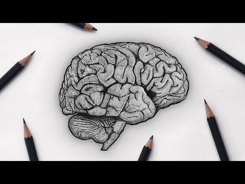 Video: How To Draw Your Thoughts To You