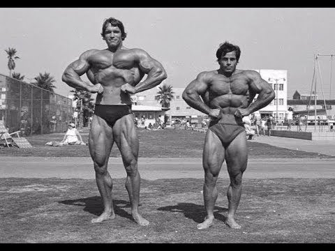 Arnold Schwarzenegger Körpergröße