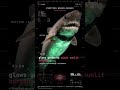 Cookiecutter Shark — GLOW: Glows green to mimic sunlit surface | Benthos Error