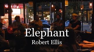 Robert Ellis performs Elephant with Delta Buds