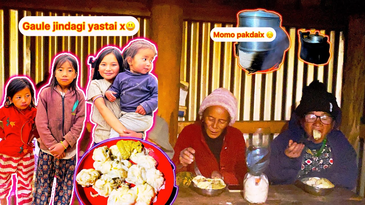 Today I'm out collecting Mahi and we also made delicious momos and had a nice time with family 😊.