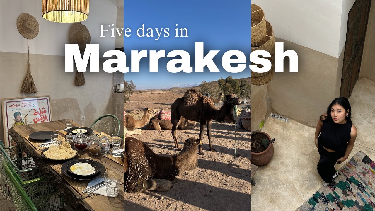 5 DAYS IN MARRAKECH 🇲🇦| Agafay desert, camel riding, Moroccan food & culture