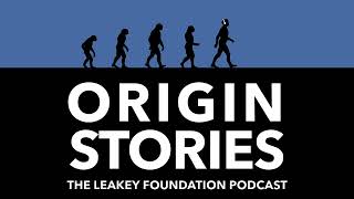 Origin Stories is back! by The Leakey Foundation 385 views 1 year ago 1 minute, 49 seconds