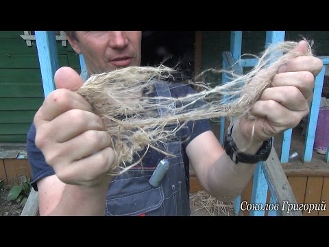 Видео: Добывание огня из крапивы