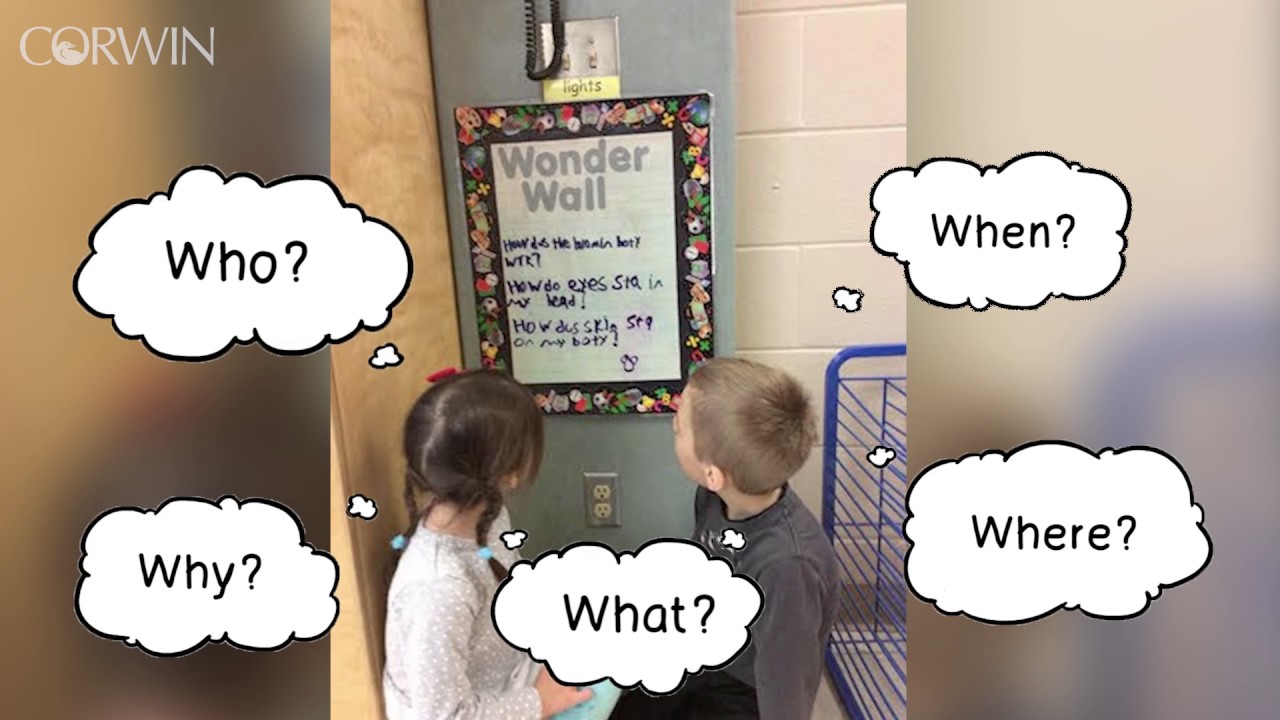 The Wonder Wall YouTube