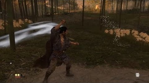 Ghost of Tsushima (Boss Execution for Water Stance)