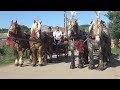 Nunta in Bihor | Trasuri cu cai | Catalin de la Marghita - 2018
