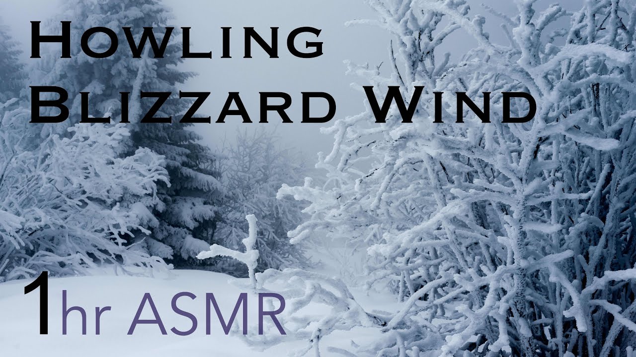 [ASMR] Howling Sounds of Blizzard Wind - 1 Hour High-Quality Sound ...