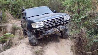 Cars Vs Offroad | Our First Offroad 4x4 Compilations