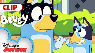 Bluey Season 3 Episode 3 \\